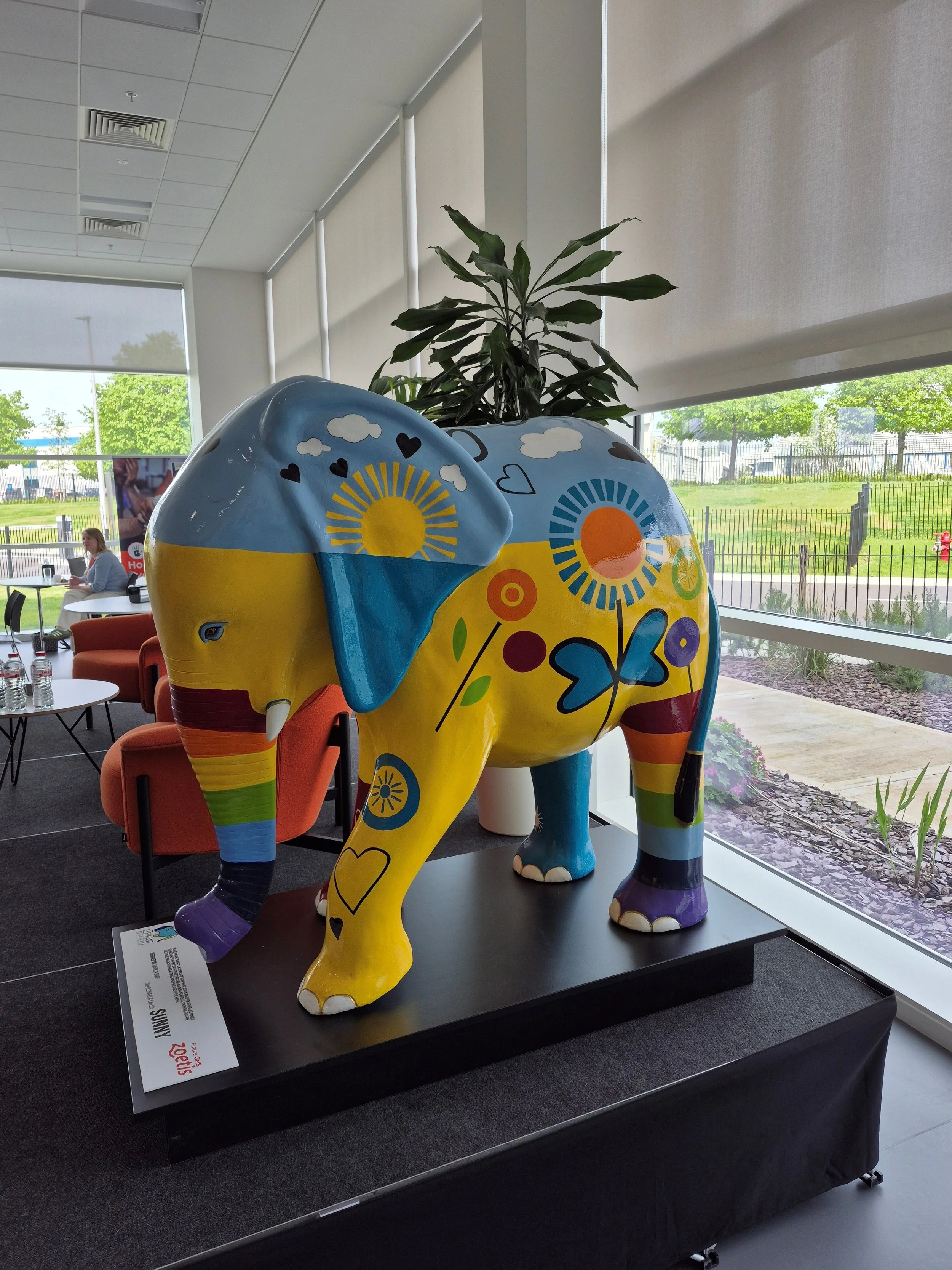 🌞 Welcome SUNNY to the Herd! — Elephant In The Room